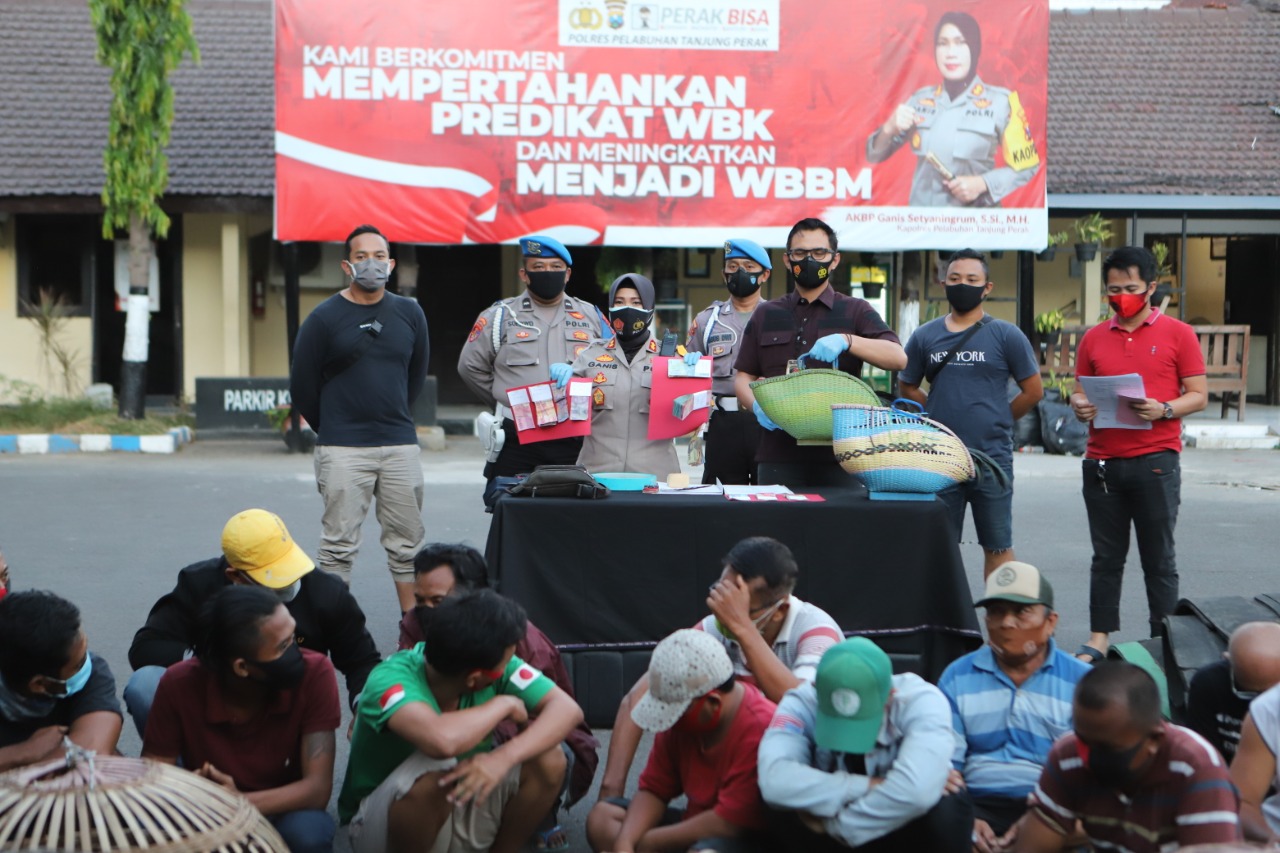 14 Orang Tersangka Judi Sambung Ayam Di Tangkap Satreskrim Polres Pelabuhan Tanjung Perak