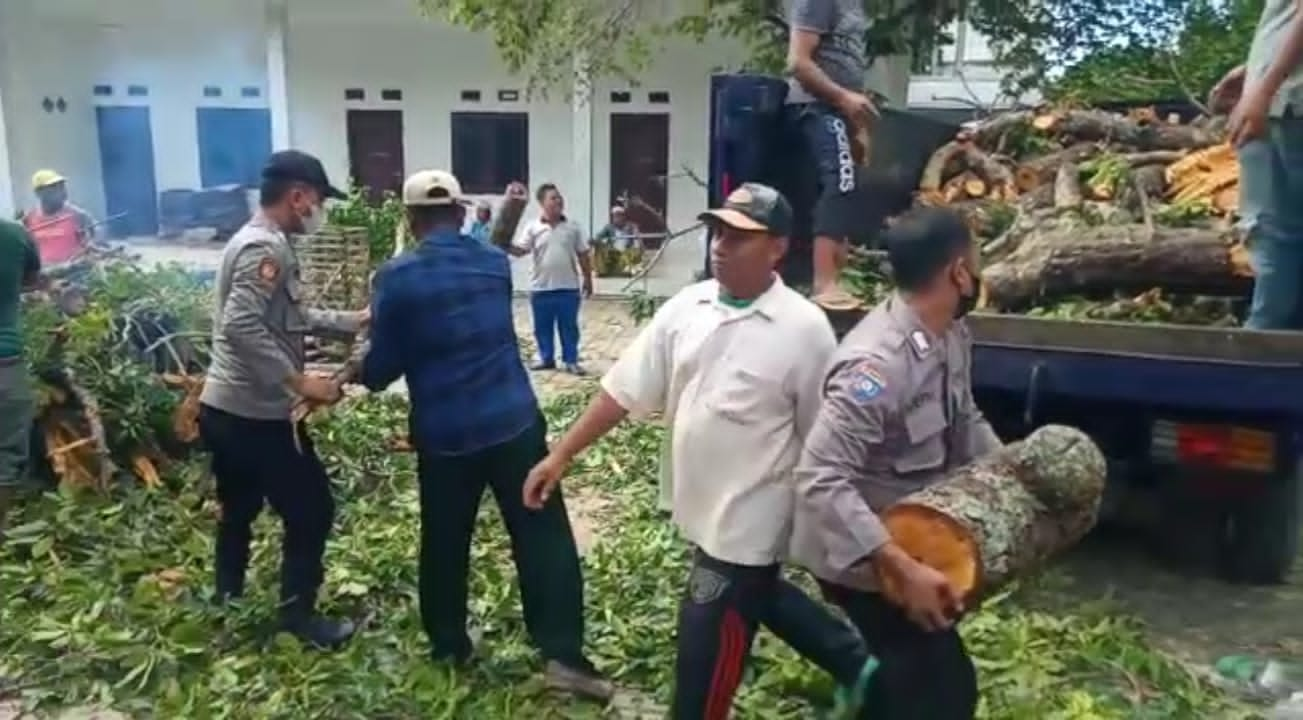 Pohon Tumbang di Ponpes Nurul Alam Prajjan, Ini Keterangan Kapolsek Camplong