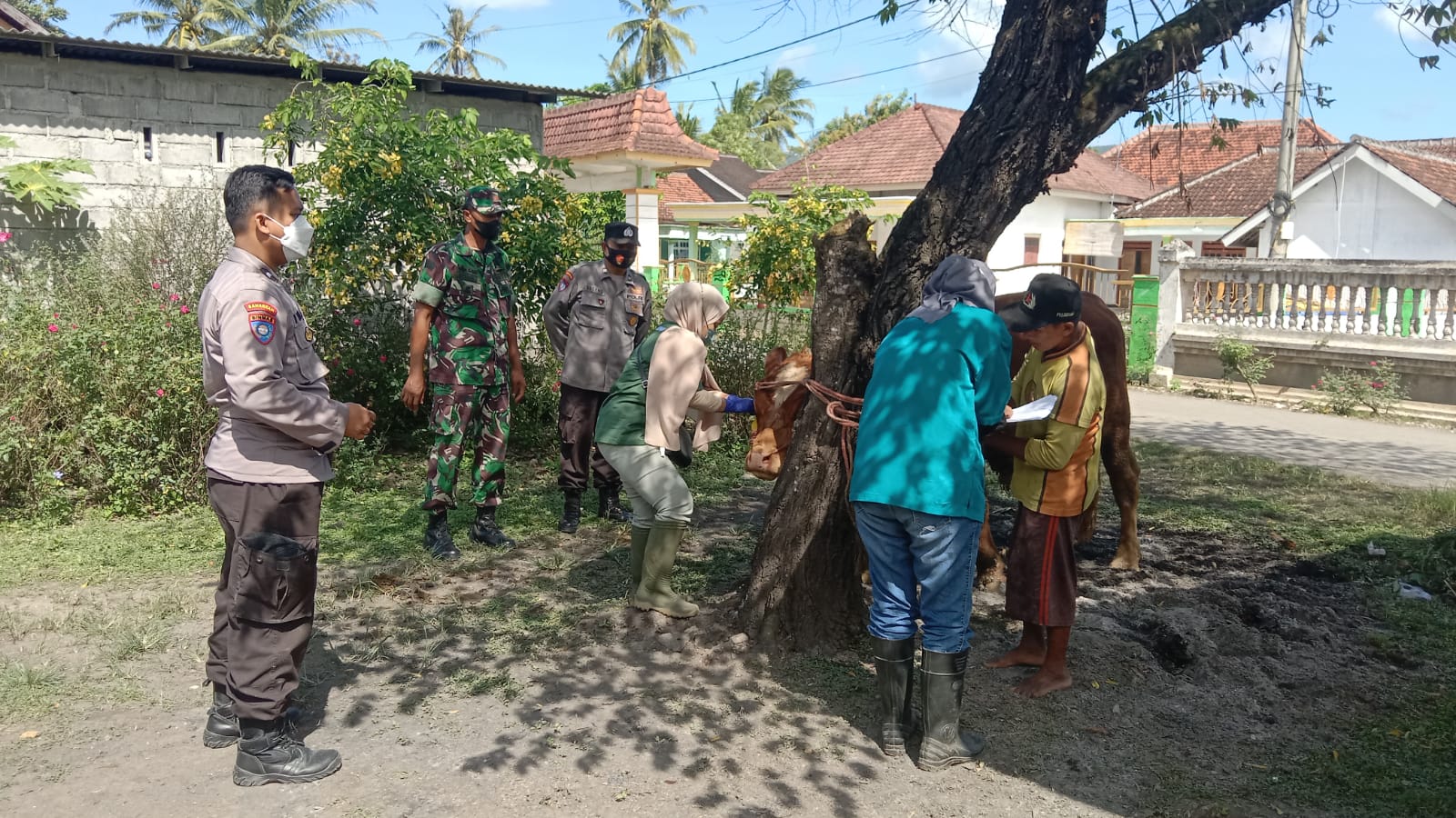 Cegah Penyebaran Virus PMK di Jember, TNI-Polri Optimalkan Peran Bhabinkamtibmas dan Babinsa