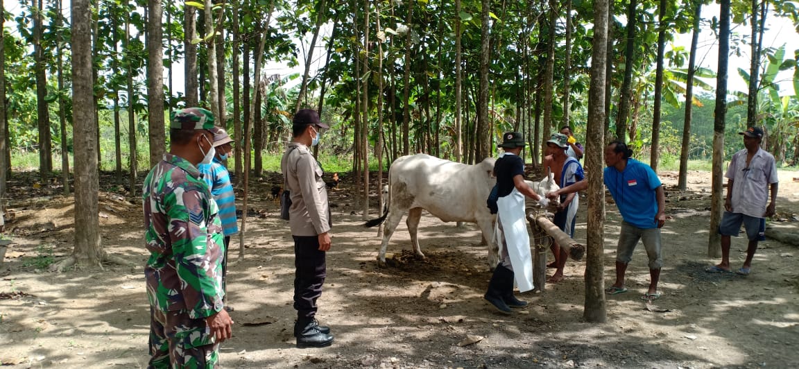 Cegah PMK, Ini yang Dilakukan Petugas Gabungan Polres Bojonegoro