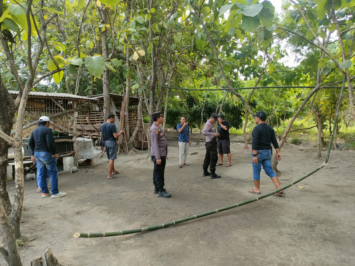 Area Sabung Ayam di Desa Dapur Kejambon Didatangi Polisi Jombang