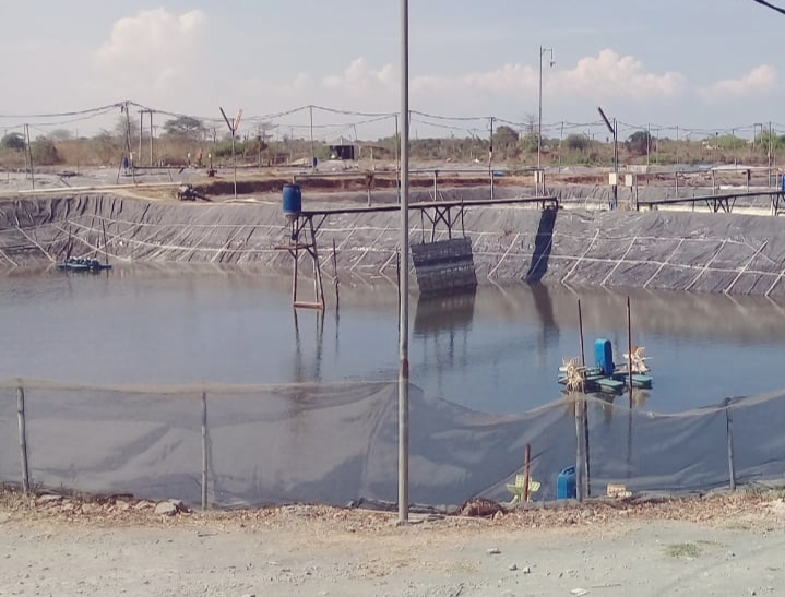 Diduga Jasa Tirta Sewakan Lahan Samping Sungai  Porong Sidoarjo Sebagai Tambak Ikan