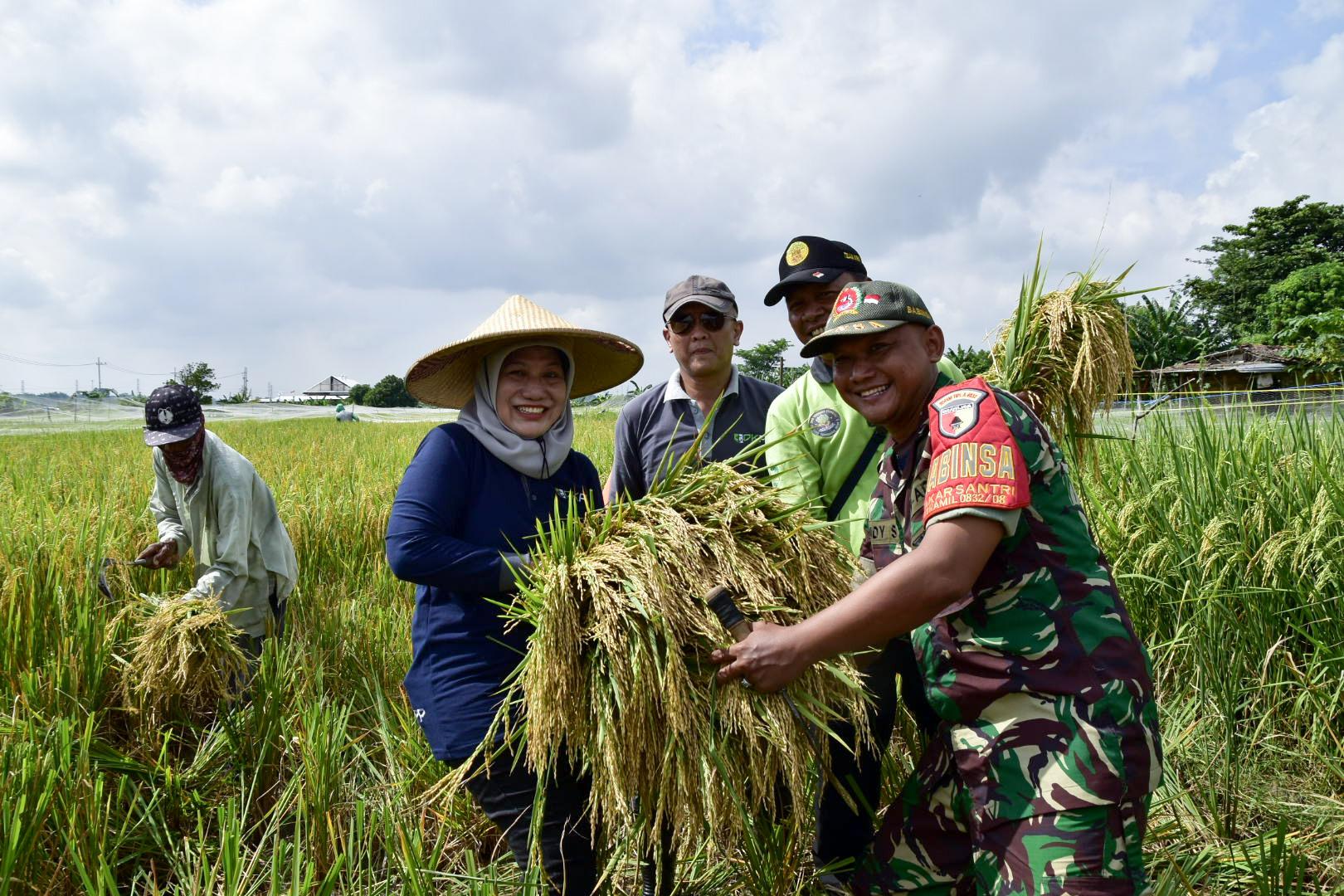 Gerakan Tanam Serentak di Surabaya Jadi Solusi Tekan Ketergantungan Pasokan Luar