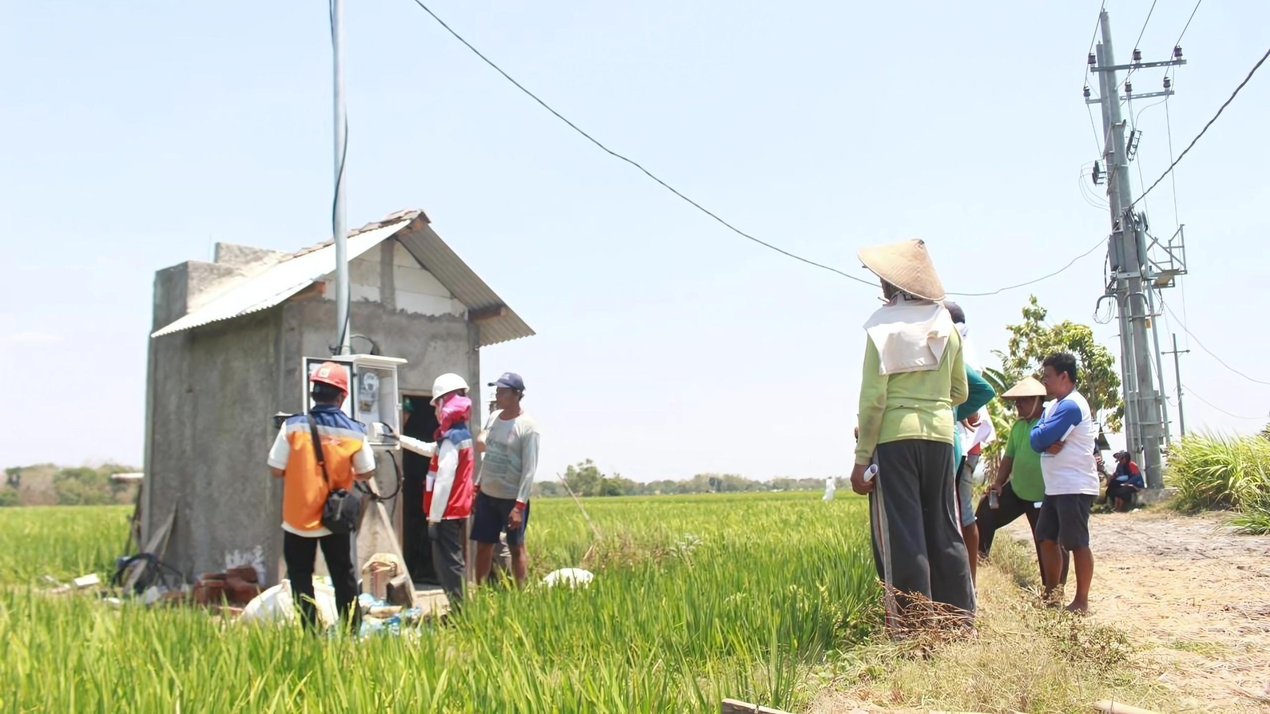 Electrifying Agriculture PLN Raih 53.539 Pelanggan Baru di Tahun 2024