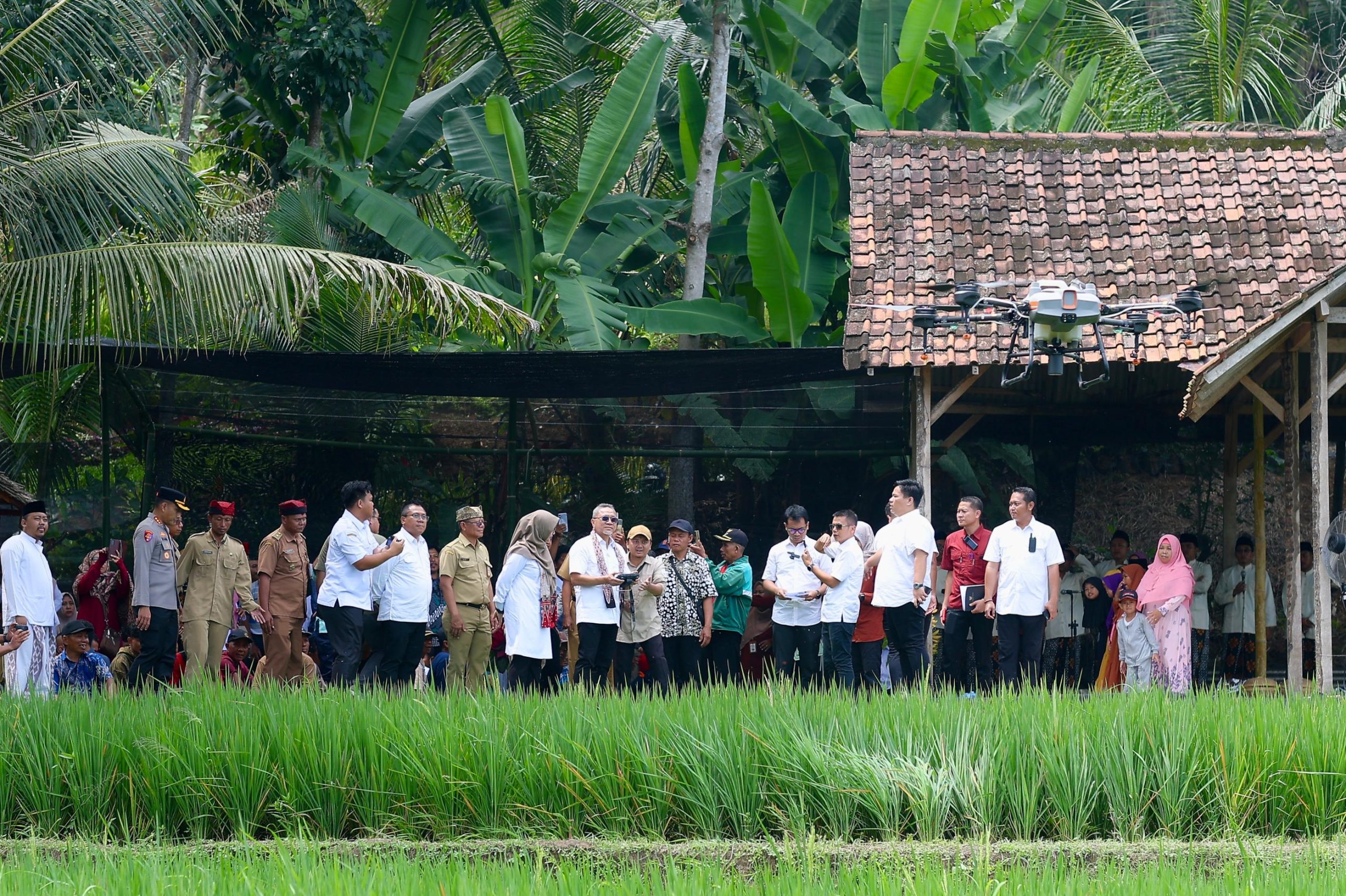 Menko Pangan Minta Banyuwangi Tularkan Program Regenerasi Petani Muda ke Daerah Lain