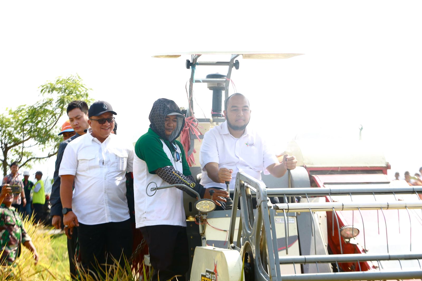 Kolaborasi Bulog dan Pupuk Indonesia, Petani Jember Nikmati Harga Gabah Rp 6.500 dan Pupuk Sesuai HET