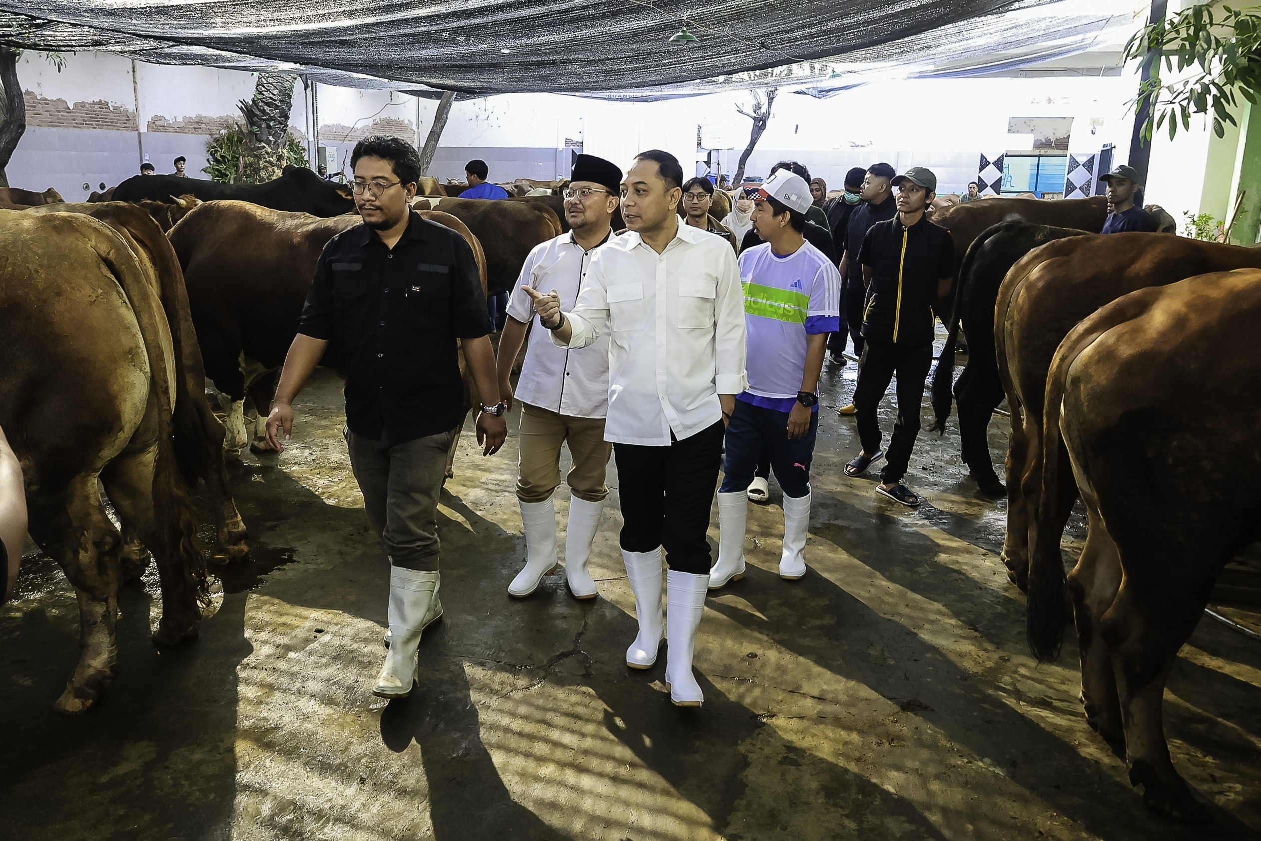 Jaminan Kesehatan, RPH Surabaya Siap Layani Kebutuhan Hewan Kurban Iduladha 1446 H