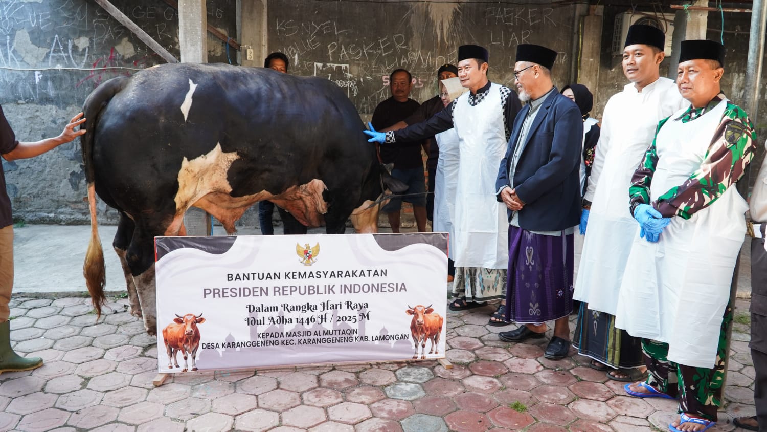 Bupati Lamongan Serahkan Sapi Kurban Bantuan Presiden RI ke Masjid Al Muttaqin