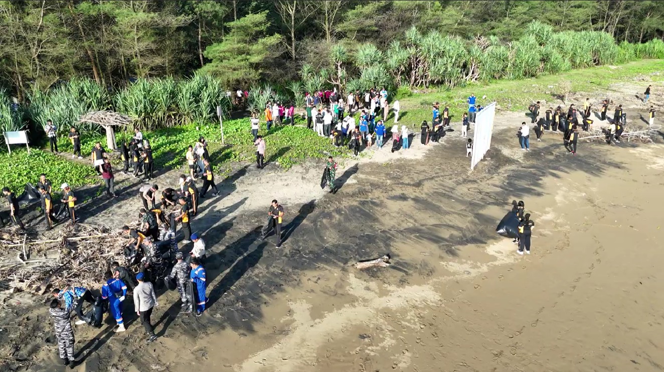 PLN NP Lepas 150 Tukik dan 1 Penyu Sisik di Pantai Pancer Door Pacitan