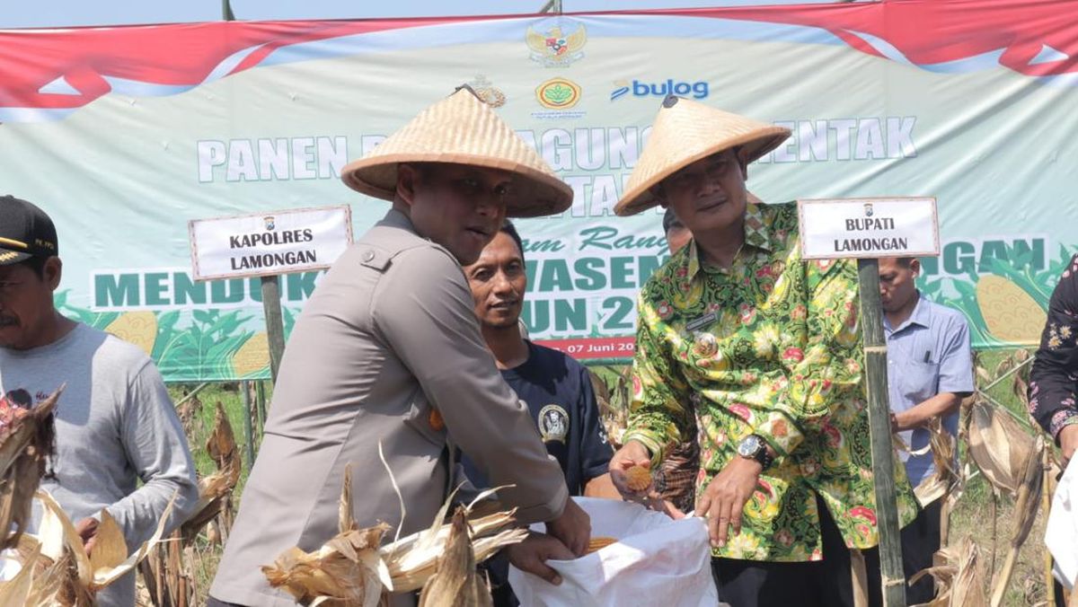 Di Lamongan, Industri Pengelolaan Pakan Ternak Terbesar Se Asia Tenggara Akan Dibangun