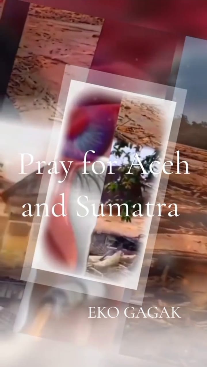Pray for Aceh and Sumatra Tetapkan Menjadi Bencana Nasional Usut Tuntas Ke Akar-Akarnya